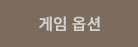 게임옵션